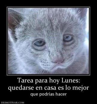 Tarea para hoy Lunes: quedarse en casa es lo mejor que podrías hacer