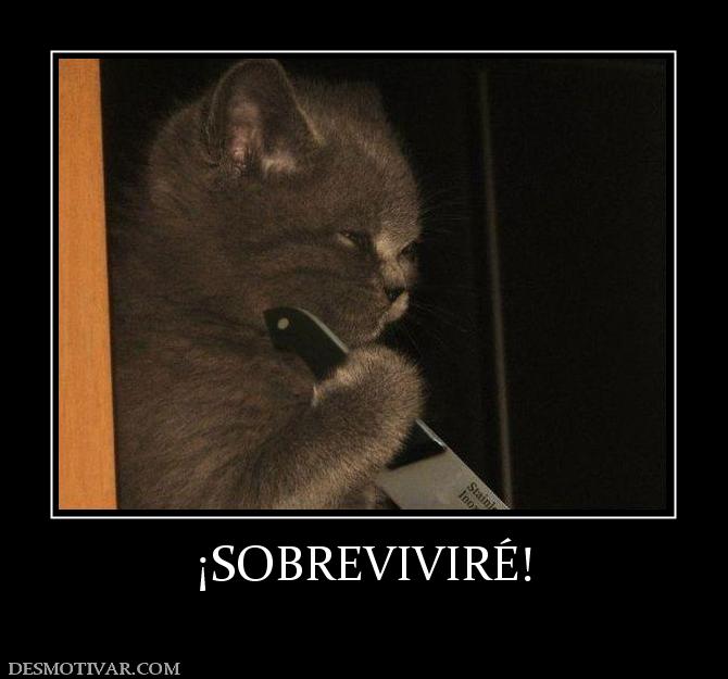 ¡SOBREVIVIRÉ!