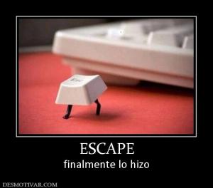 ESCAPE finalmente lo hizo