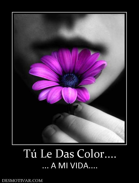 Tú Le Das Color.... ... A MI VIDA....