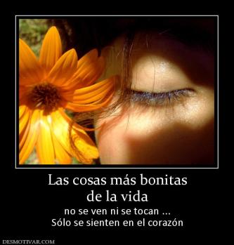 Las cosas más bonitas de la vida no se ven ni se tocan ... Sólo se sienten en el corazón