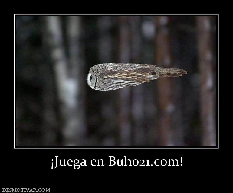 ¡Juega en buho21.org!