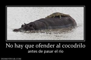 No hay que ofender al cocodrilo antes de pasar el río