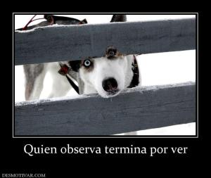 Quien observa termina por ver
