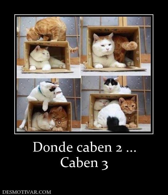 Donde caben 2 ... Caben 3