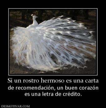 Si un rostro hermoso es una carta de recomendación, un buen corazón es una letra de crédito.