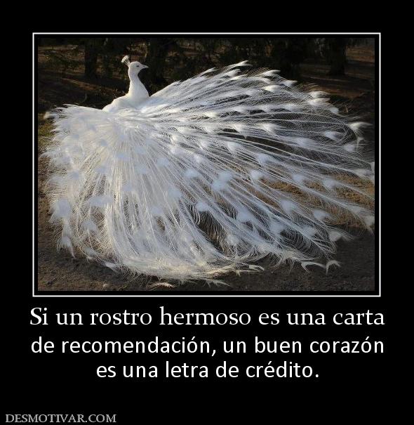 Si un rostro hermoso es una carta de recomendación, un buen corazón es una letra de crédito.