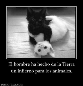 El hombre ha hecho de la Tierra un infierno para los animales.