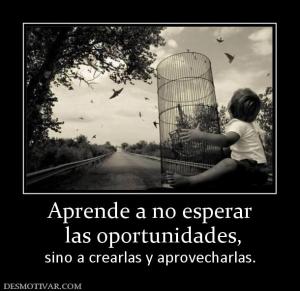Aprende a no esperar  las oportunidades, sino a crearlas y aprovecharlas.