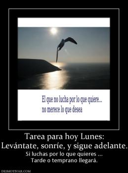 Tarea para hoy Lunes: Levántate, sonríe, y sigue adelante. Si luchas por lo que quieres ... Tarde o temprano llegará.