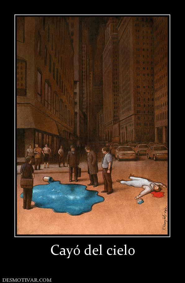 Cayó del cielo