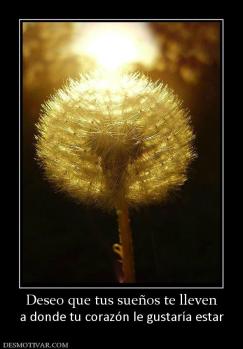 Deseo que tus sueños te lleven a donde tu corazón le gustaría estar