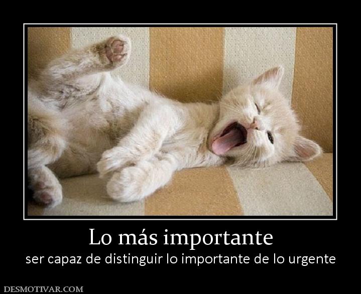 Lo más importante ser capaz de distinguir lo importante de lo urgente