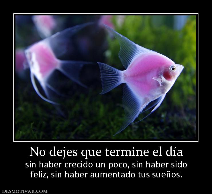 No dejes que termine el día sin haber crecido un poco, sin haber sido feliz, sin haber aumentado tus sueños.