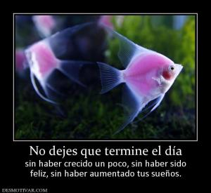 No dejes que termine el día sin haber crecido un poco, sin haber sido feliz, sin haber aumentado tus sueños.
