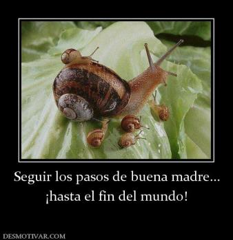 Seguir los pasos de buena madre... ¡hasta el fin del mundo!