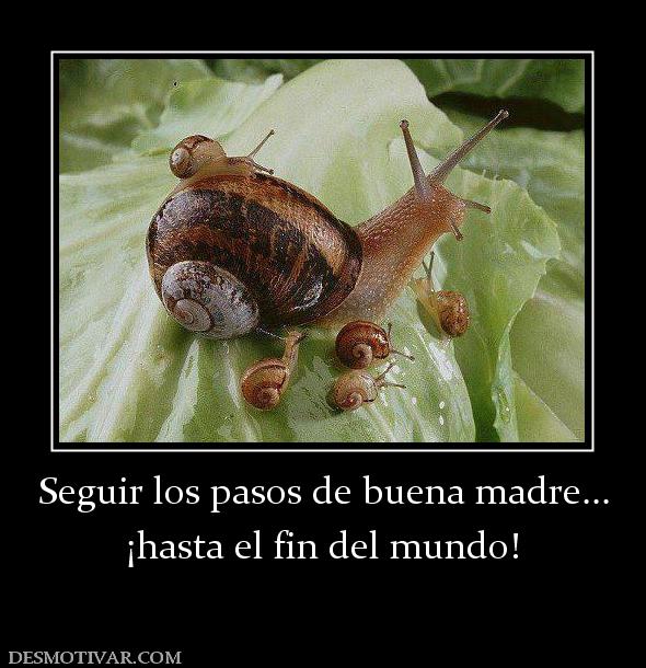 Seguir los pasos de buena madre... ¡hasta el fin del mundo!