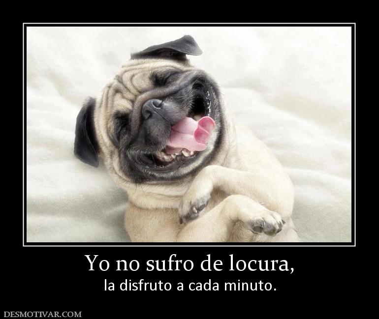 Yo no sufro de locura, la disfruto a cada minuto.