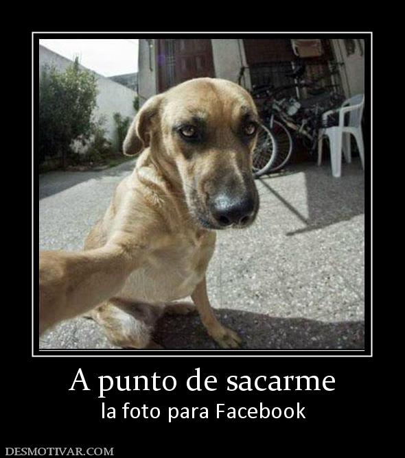 A punto de sacarme la foto para Facebook