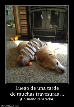 Luego de una tarde de muchas travesuras ... ¡Un sueño reparador!