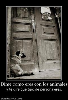 Dime como eres con los animales y te diré qué tipo de persona eres.