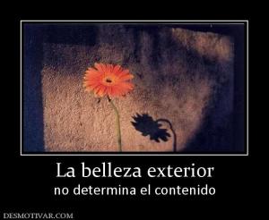 La belleza exterior no determina el contenido
