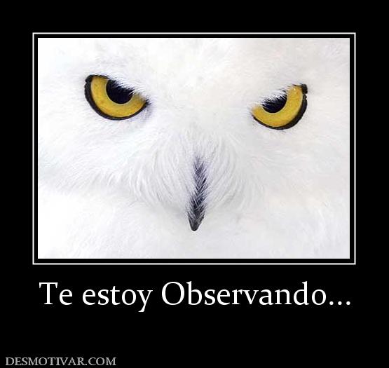 Te estoy Observando...