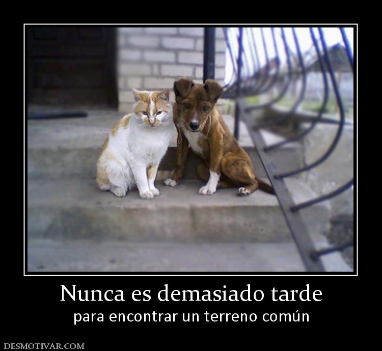 Nunca es demasiado tarde para encontrar un terreno común