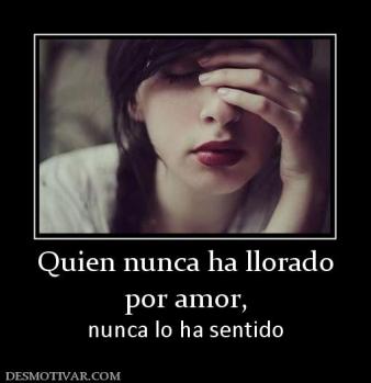 Quien nunca ha llorado por amor, nunca lo ha sentido