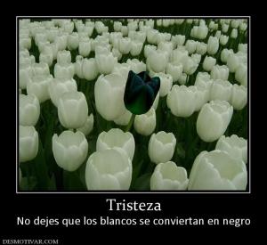 Tristeza No dejes que los blancos se conviertan en negro