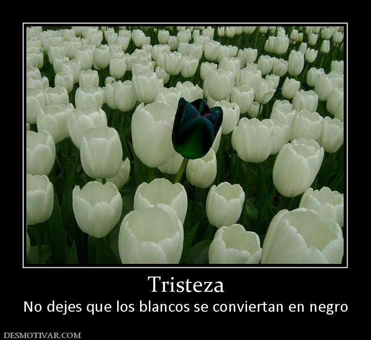 Tristeza No dejes que los blancos se conviertan en negro