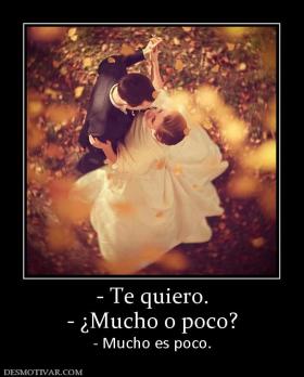 - Te quiero. - ¿Mucho o poco? - Mucho es poco.