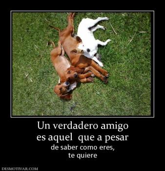 Un verdadero amigo es aquel  que a pesar de saber como eres, te quiere