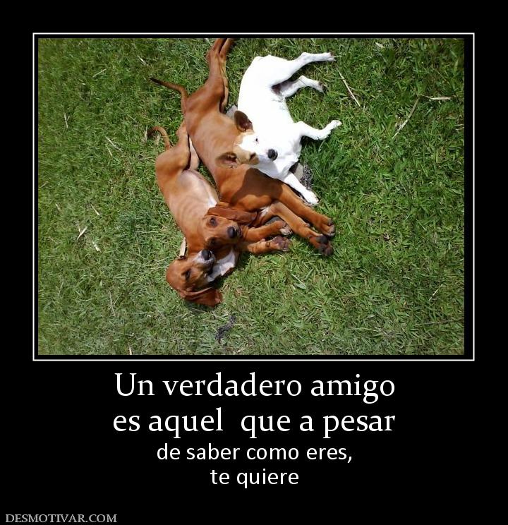 Un verdadero amigo es aquel  que a pesar de saber como eres, te quiere