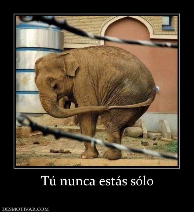 Tú nunca estás sólo