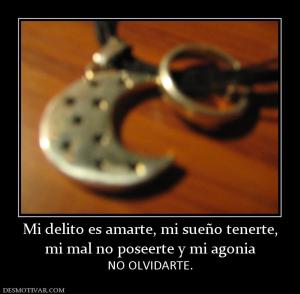 Mi delito es amarte, mi sueño tenerte, mi mal no poseerte y mi agonia NO OLVIDARTE.