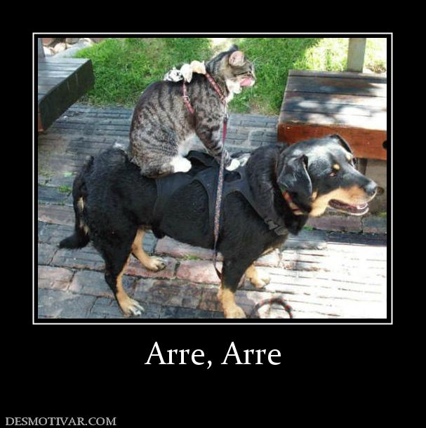 Arre, Arre
