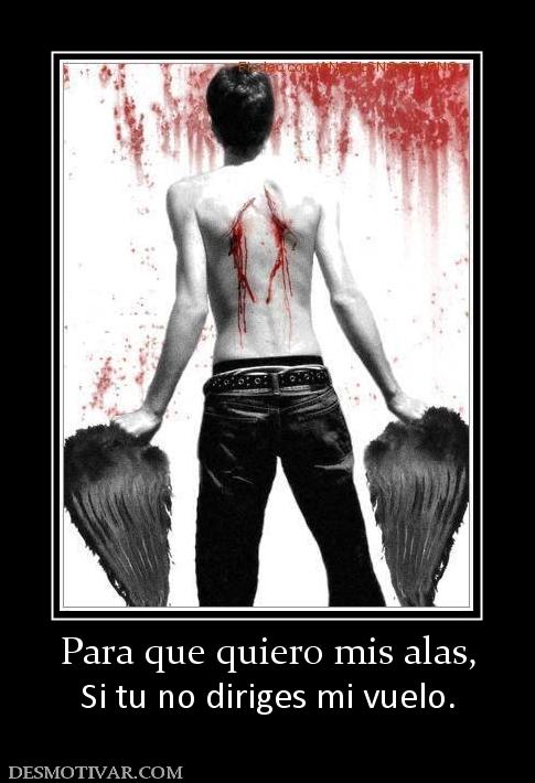 Para que quiero mis alas, Si tu no diriges mi vuelo.