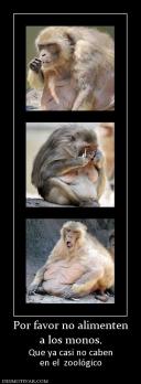 Por favor no alimenten a los monos. Que ya casi no caben en el  zoológico