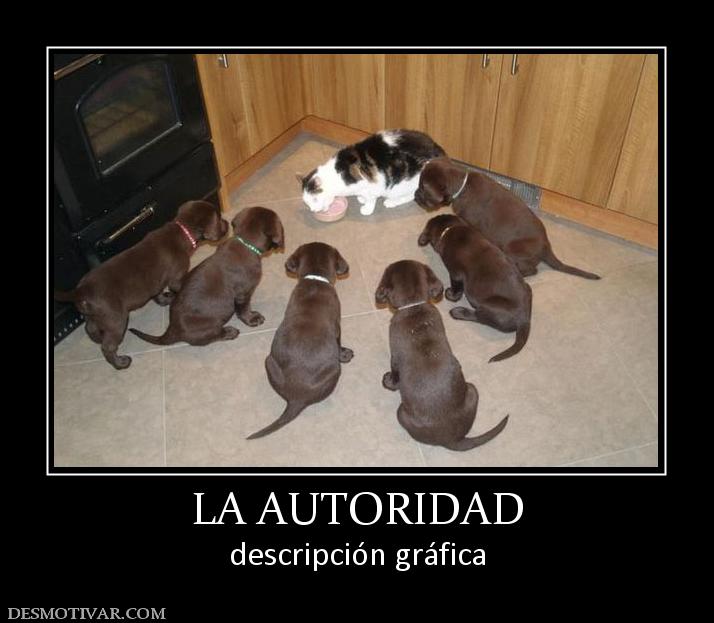 LA AUTORIDAD descripción gráfica