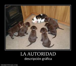 LA AUTORIDAD descripción gráfica