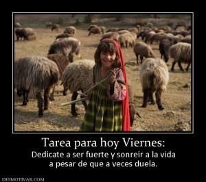 Tarea para hoy Viernes: Dedícate a ser fuerte y sonreír a la vida a pesar de que a veces duela.