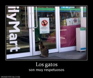 Los gatos son muy respetuosos