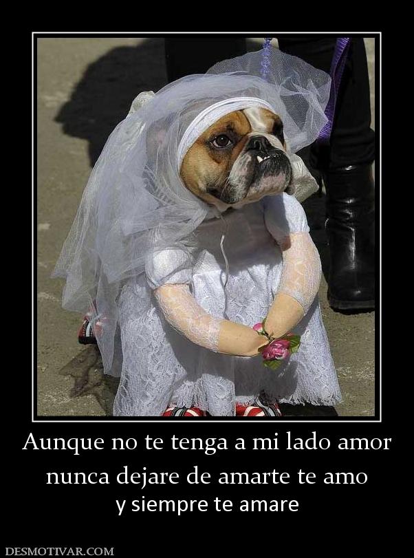 Aunque no te tenga a mi lado amor nunca dejare de amarte te amo y siempre te amare