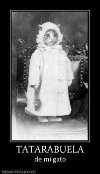 TATARABUELA de mi gato
