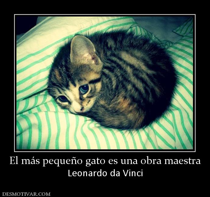 El más pequeño gato es una obra maestr Leonardo da Vinci