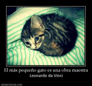 El más pequeño gato es una obra maestr Leonardo da Vinci