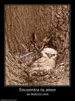 Encuentra tu amor en Buho21.com