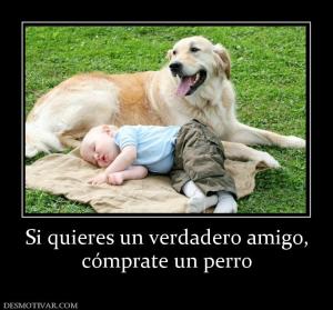 Si quieres un verdadero amigo, cómprate un perro