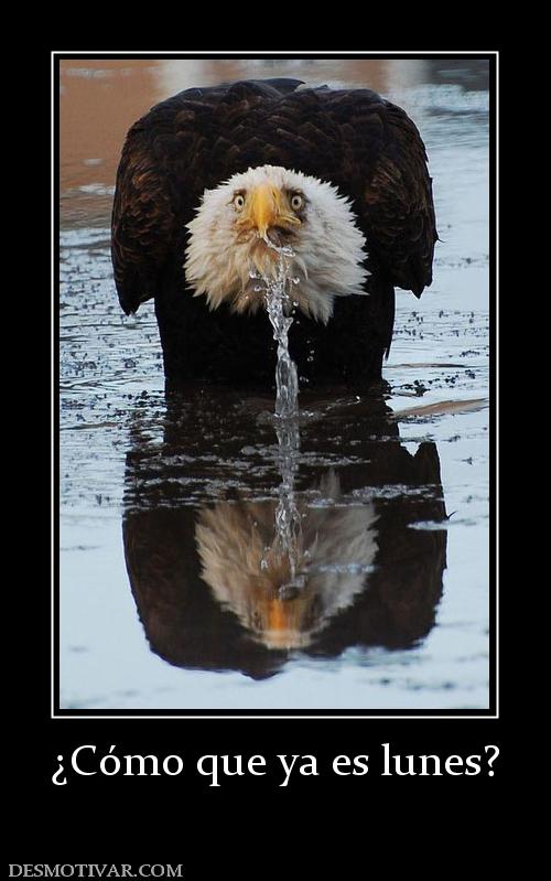 ¿Cómo que ya es lunes?